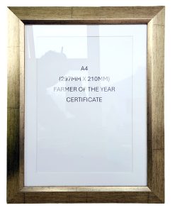 Standard Long Service Certificate Frame B_Front